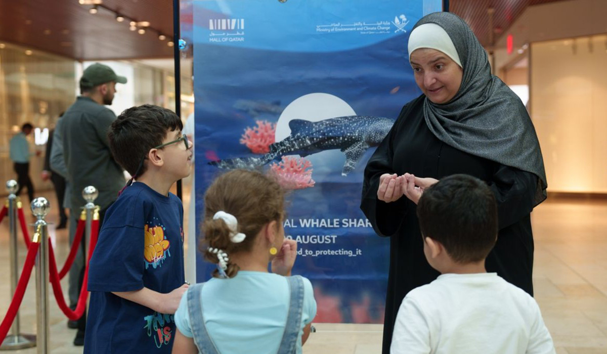 Whale Shark Day